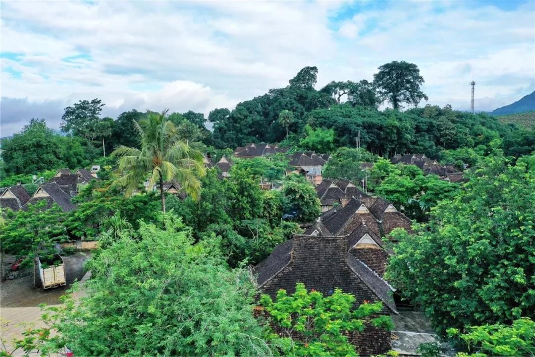 西雙版納研學旅行社夏令營