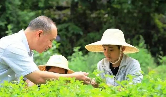 西雙版納夏令營