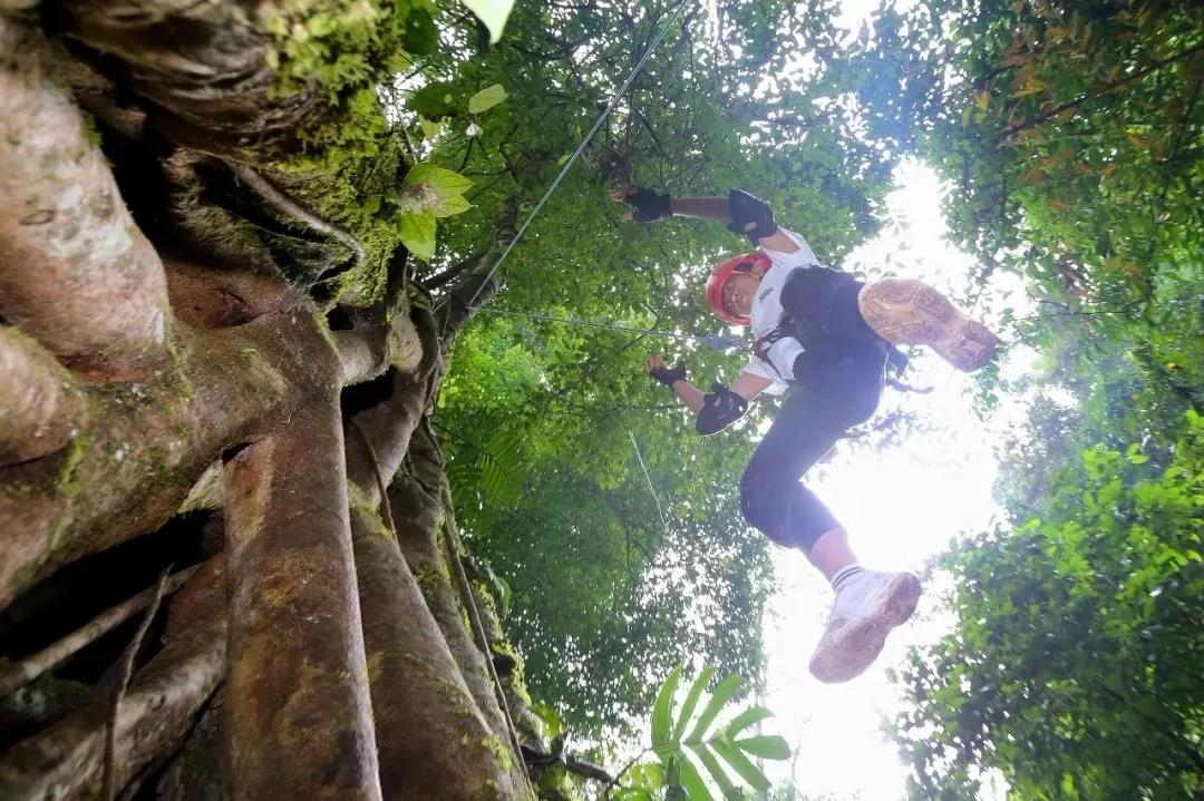 西雙版納研學夏令營