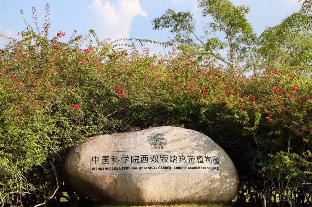 西雙版納研學旅行社