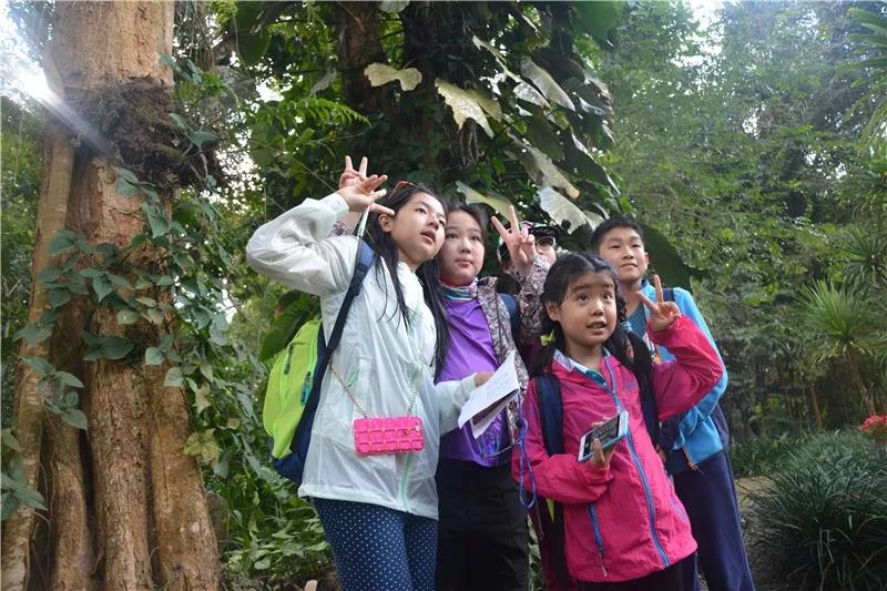 西雙版納研學旅行社