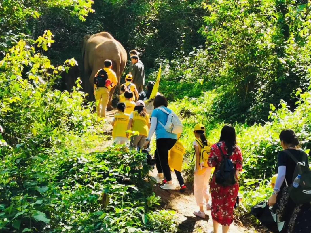 西雙版納研學夏令營