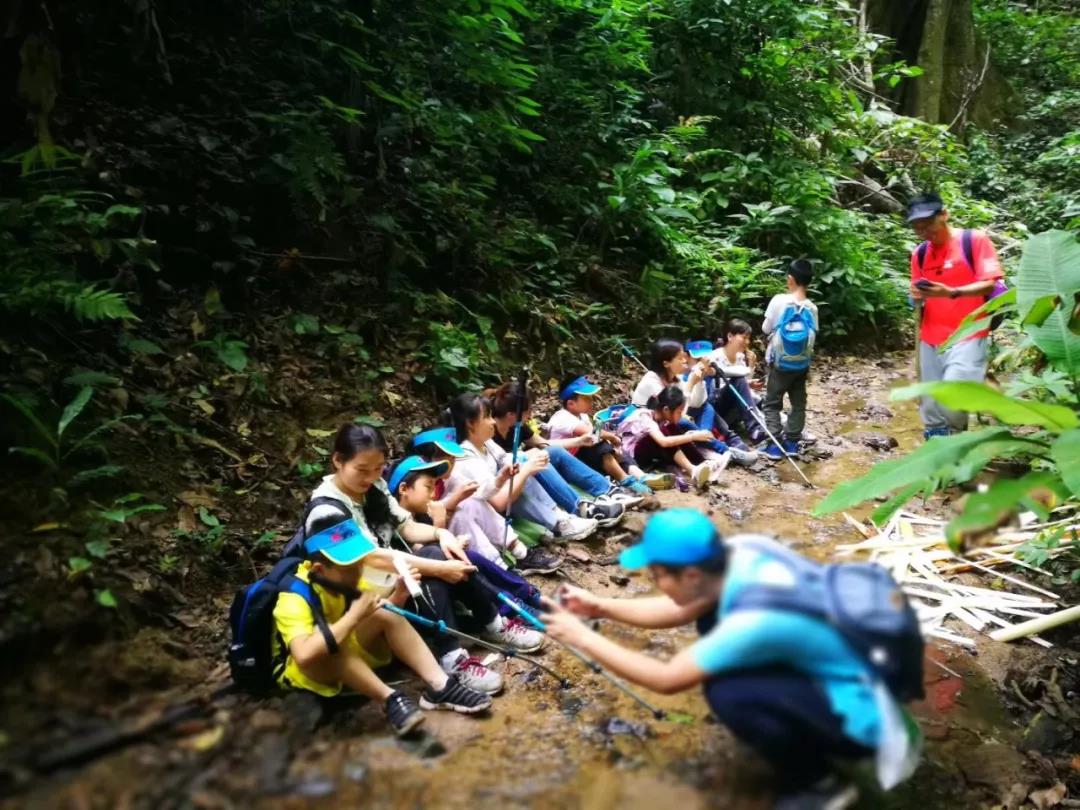 西雙版納研學夏令營