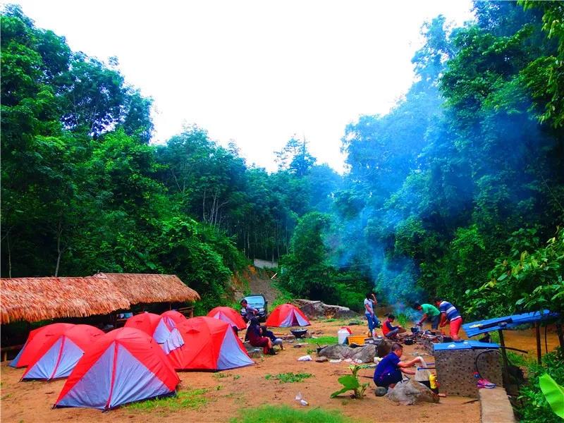 西雙版納夢幻星球：雨林，傣鄉，動植物王國，綠色環保教育7天6晚探秘營