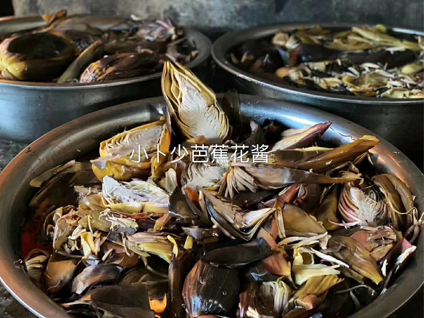 泡魯達