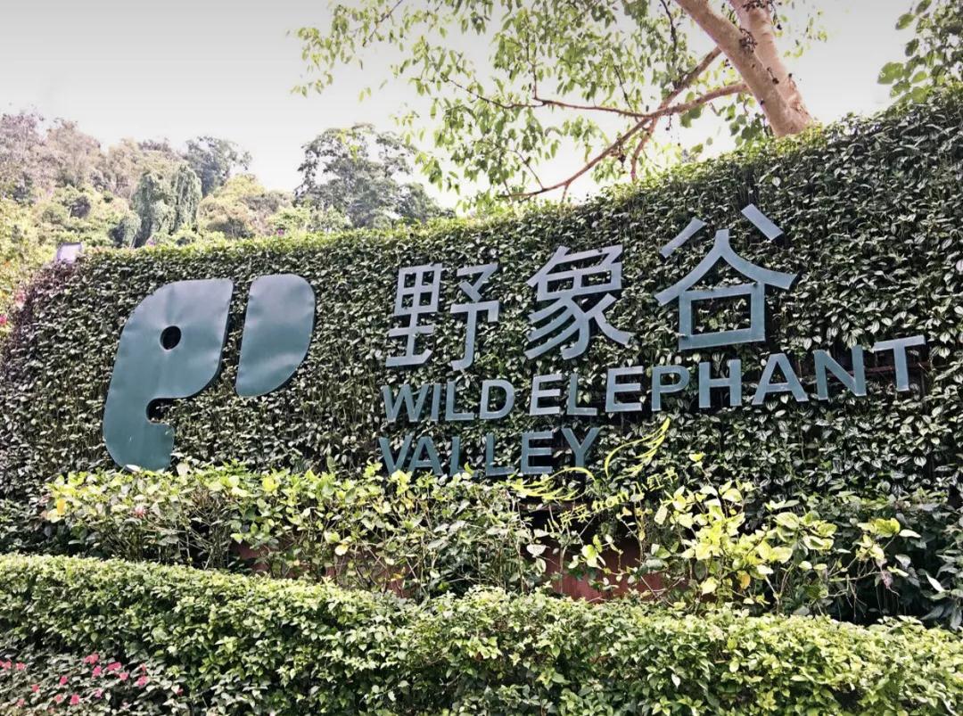 西雙版納