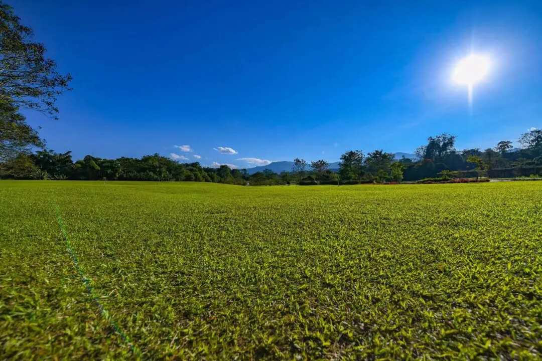西雙版納