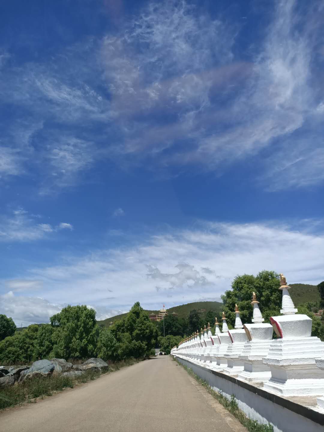 西雙版納