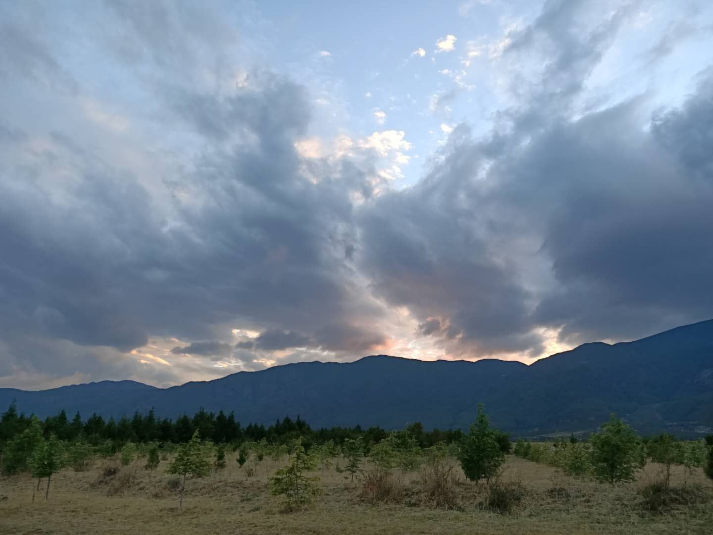 西雙版納