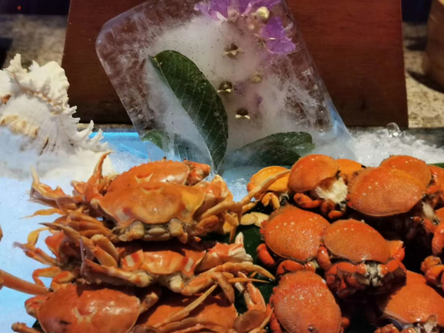 西雙版納云投喜來登酒店