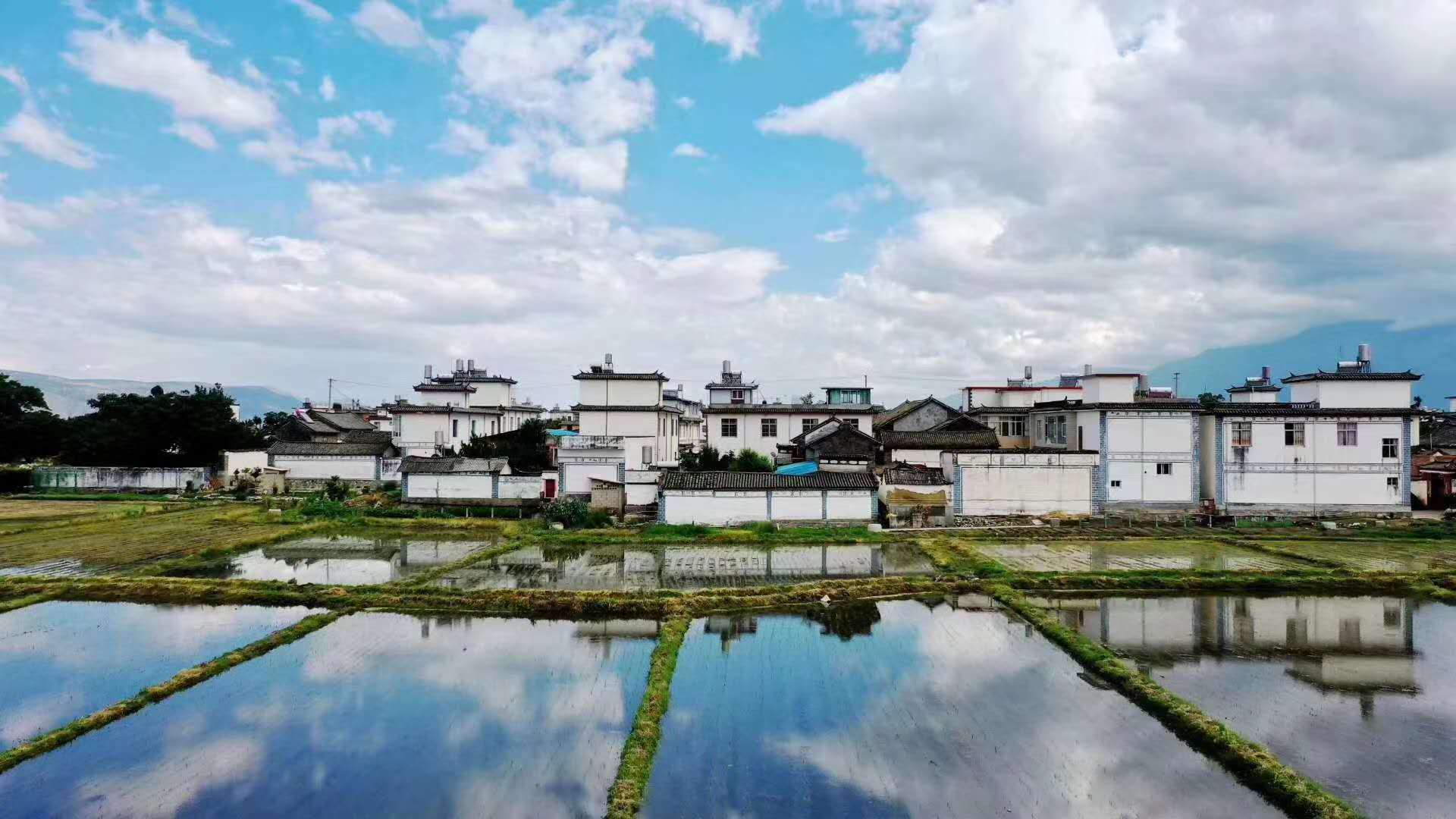 西雙版納