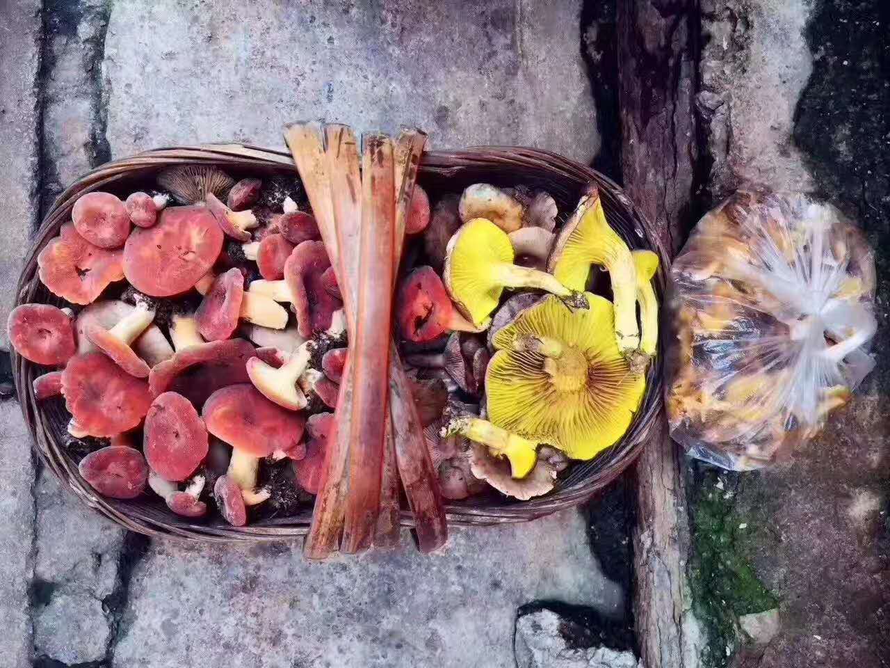 西雙版納