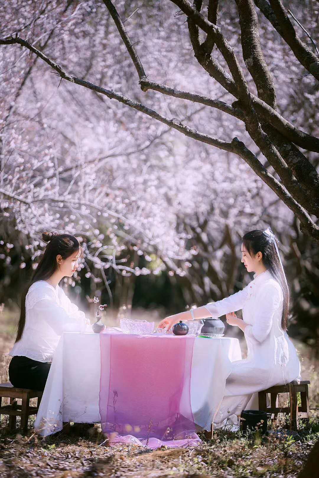 西雙版納