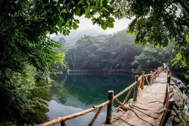 西雙版納熱帶雨林穿越拓展訓練主題團建