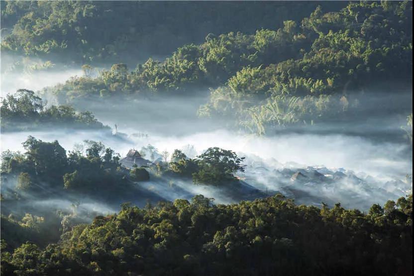 西雙版納旅游度假區 | “象”往的生活·喧囂世界，心靈安放何處？