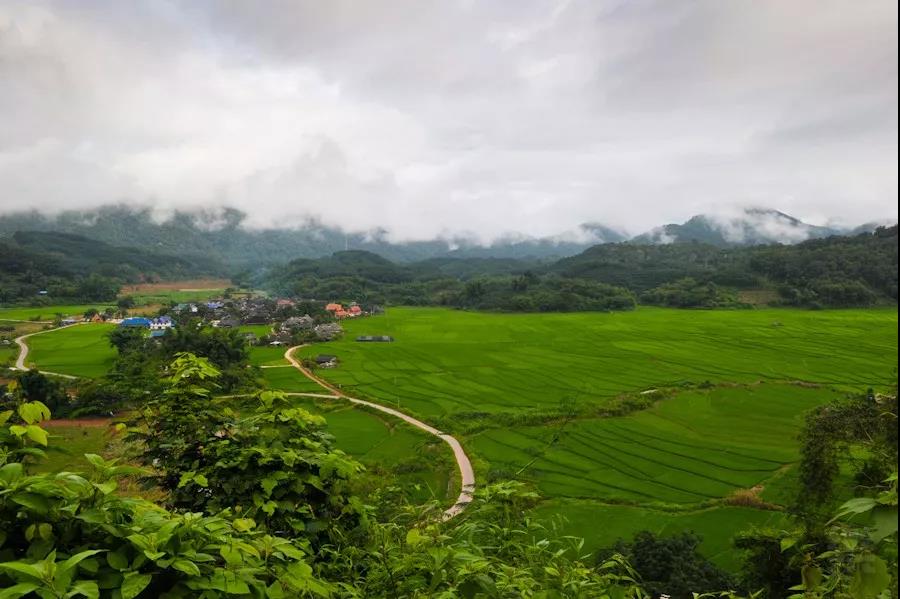 曼旦村---雨林深處的世外桃源