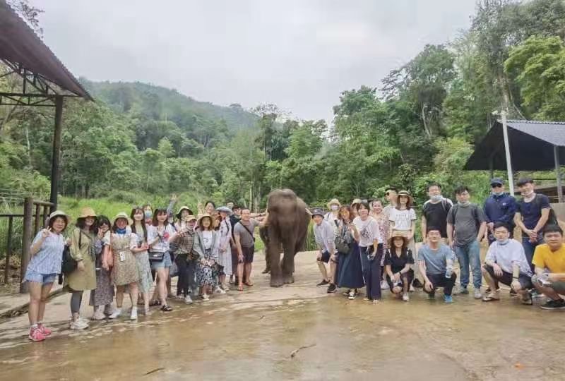 西雙版納最好的旅行團建就是參與不同的體驗之亞洲象保護協會志愿者