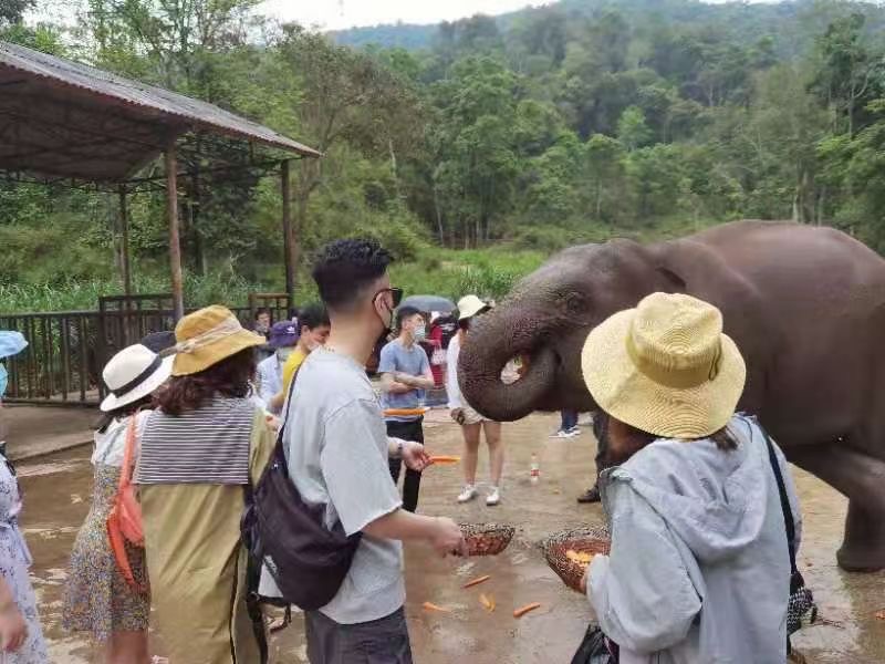 西雙版納旅行團建