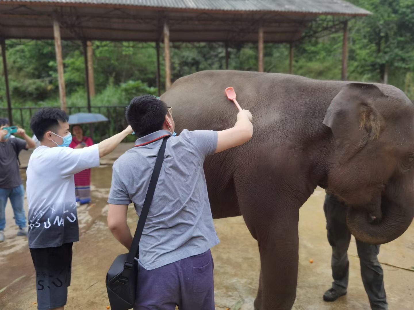西雙版納旅行團建