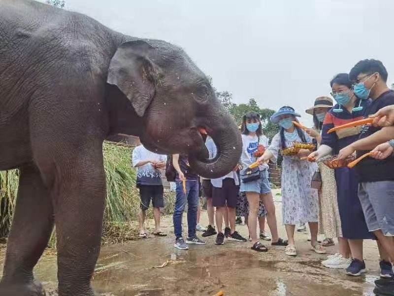 西雙版納旅行團建