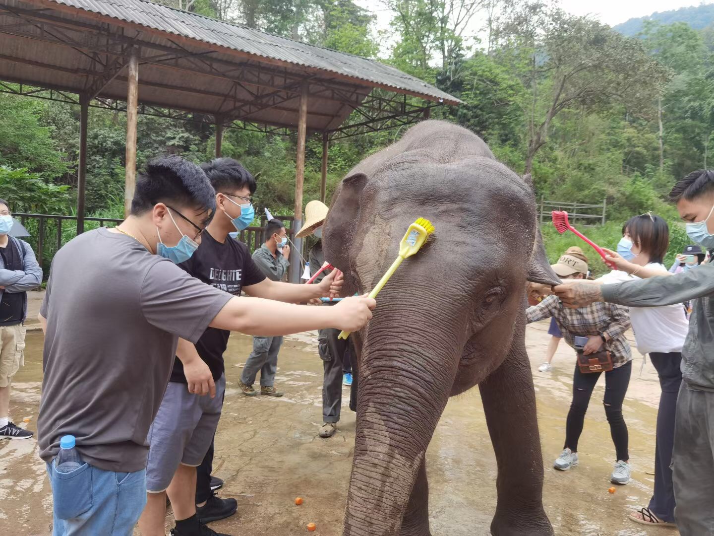 西雙版納旅行團建