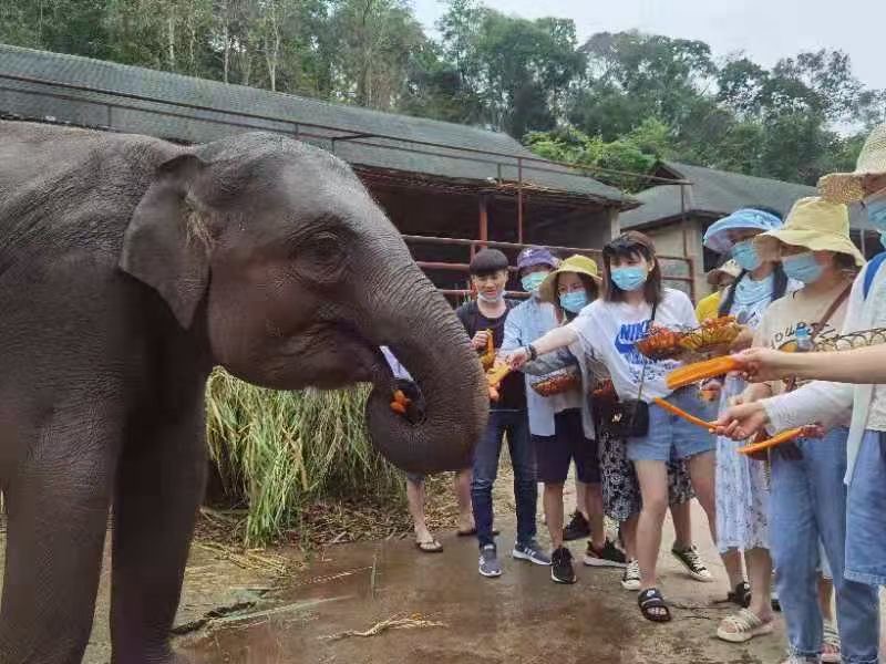 西雙版納旅行團建