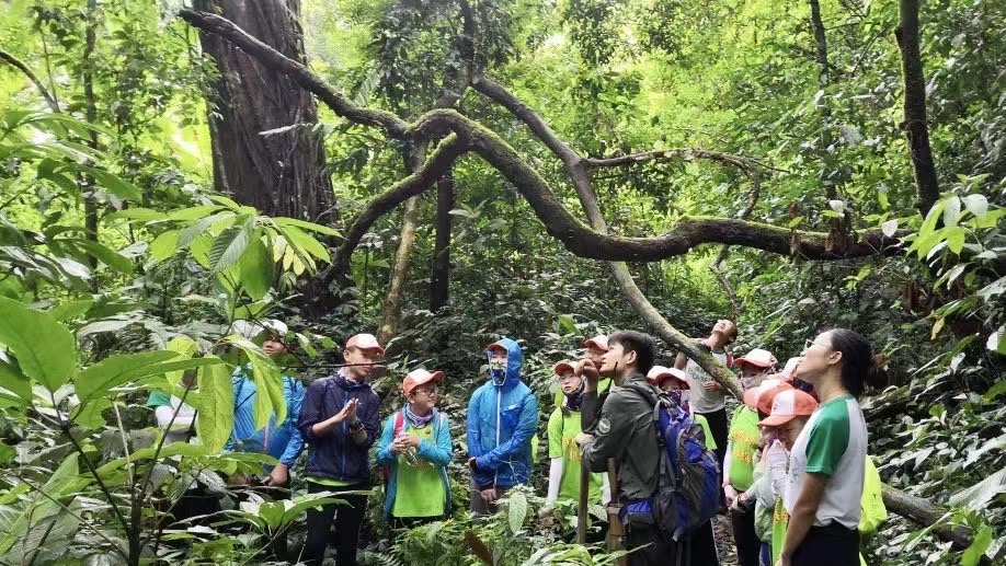 西雙版納勐遠仙境雨林穿越