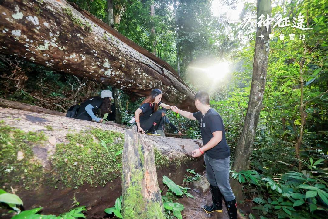 步穿越西雙版中國(guó)的亞馬遜熱帶雨林大型團(tuán)建體驗(yàn)