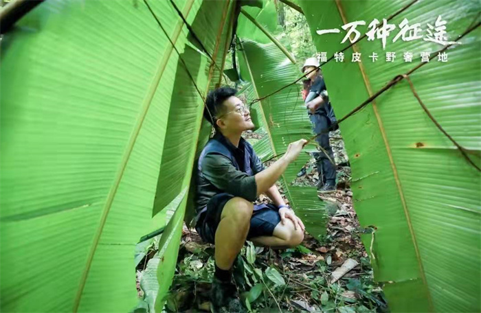 勐遠仙境&福特中國｜2021一萬種征途車主大會在勐遠仙境舉辦，來西雙版納體驗雨林穿越，感受特色團建的魅力吧！