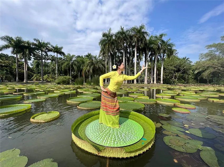 西雙版納旅游