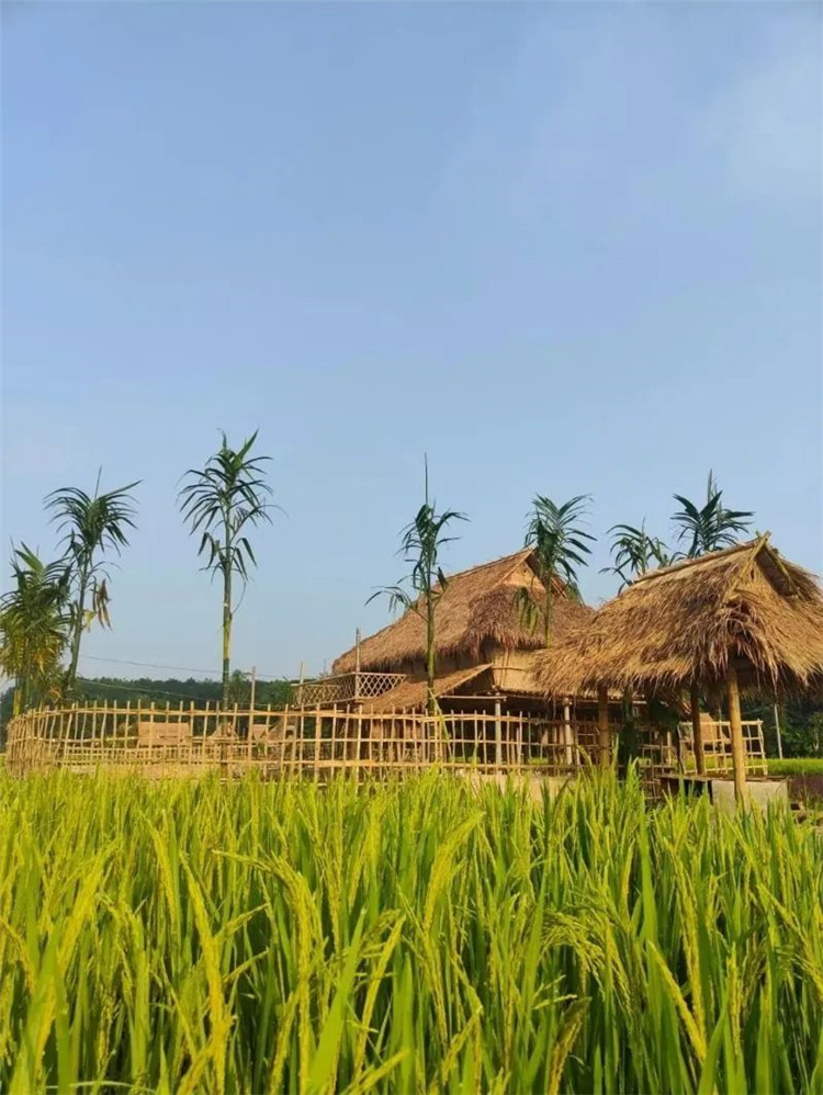 西雙版納旅游