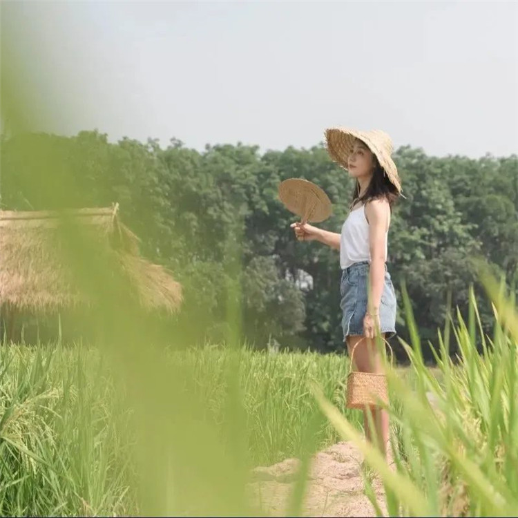 西雙版納旅游
