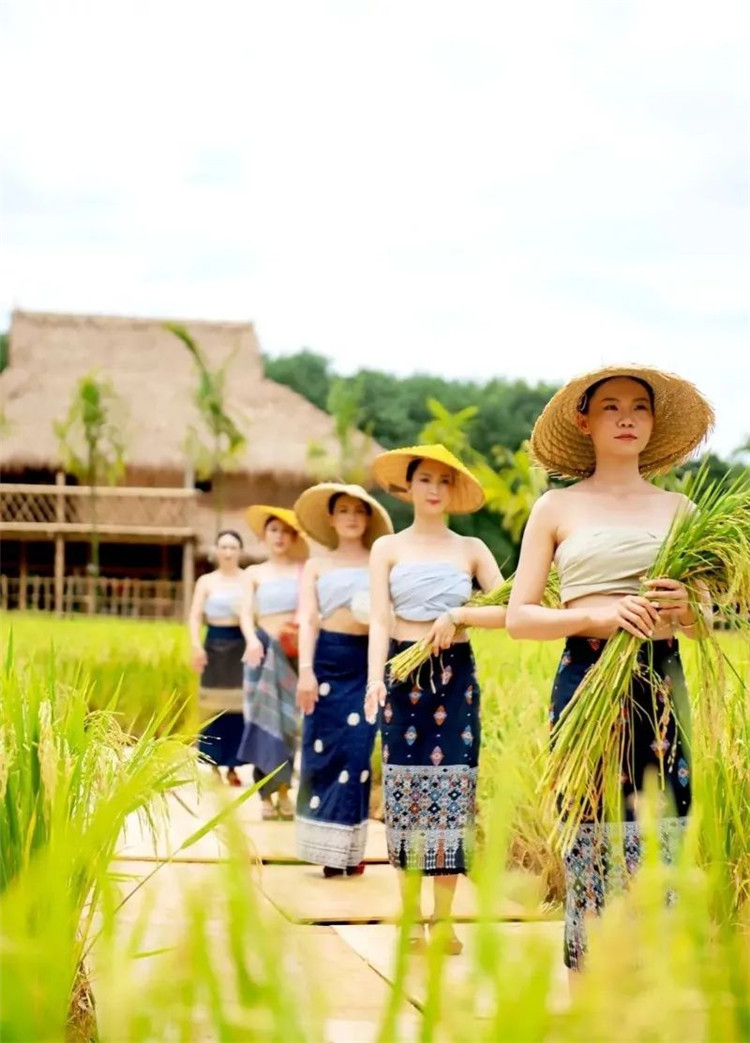 西雙版納旅游
