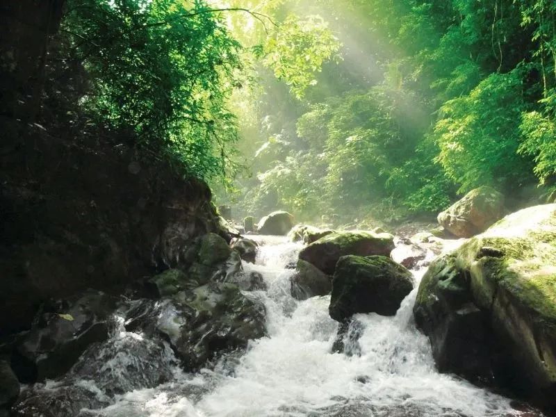 西雙版納旅游