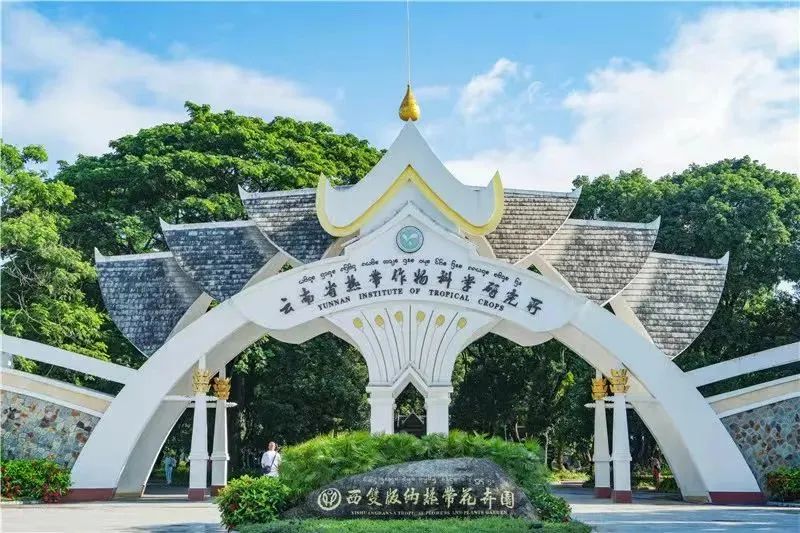 西雙版納旅游