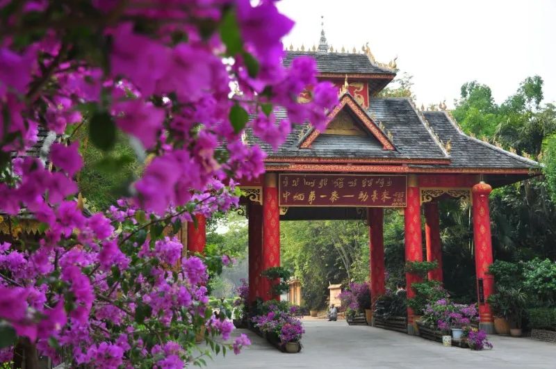 西雙版納旅游