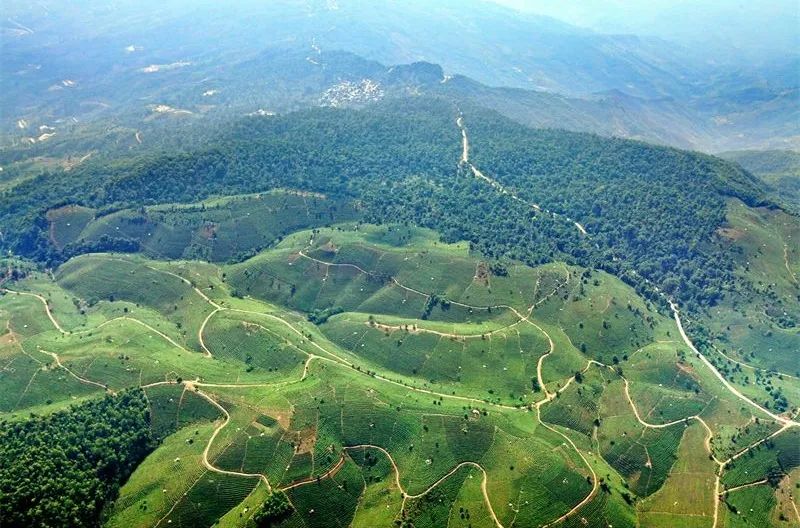 西雙版納旅游
