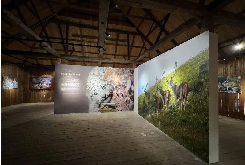西雙版納旅游