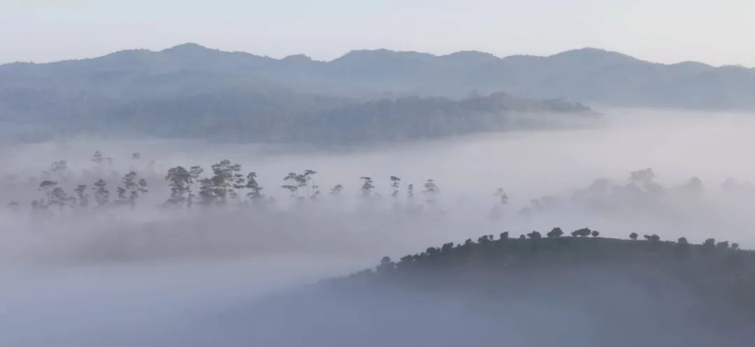 西雙版納旅游