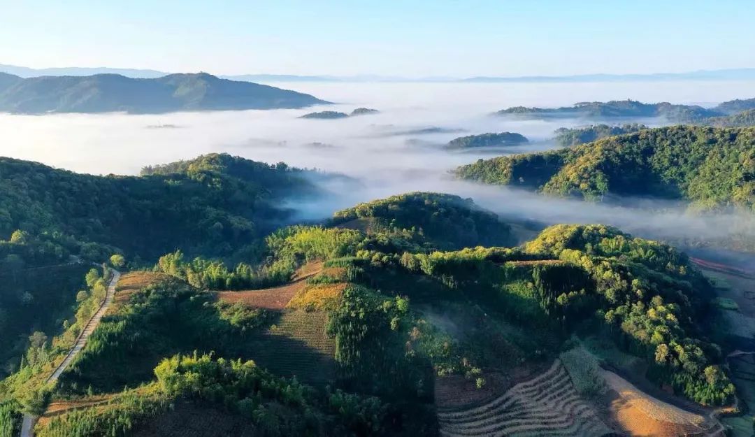 西雙版納旅游