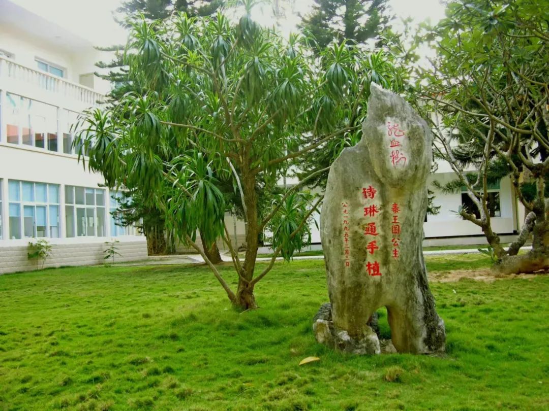 南藥園