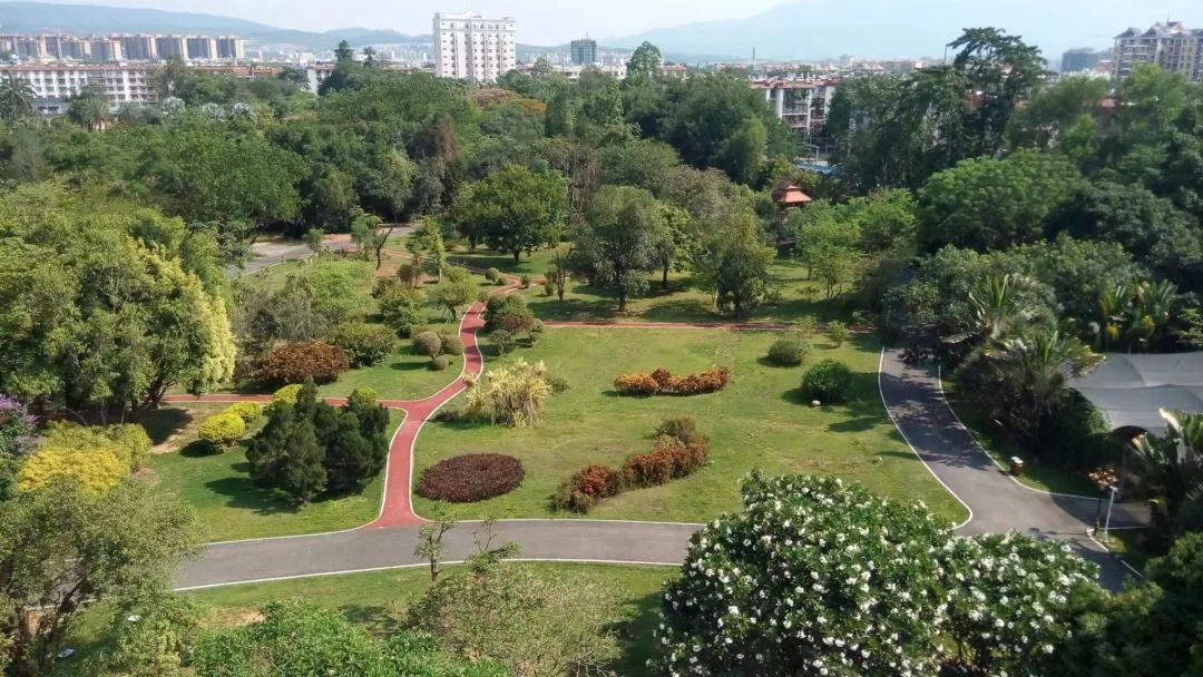 南藥園