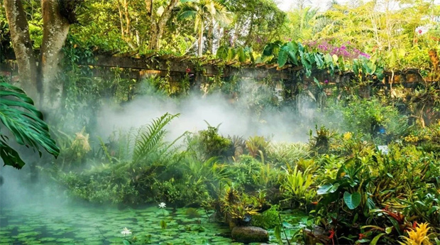 云南旅游,云南旅行社,云南團建公司,云南策劃公司,云南會議會展,云南策劃執行,云南團建地接,西雙版納旅游,西雙版納旅行社,西雙版納團建公司,西雙版納策劃公司,西雙版納會議會展,西雙版納策劃執行：光影勐臘旅拍游：用鏡頭捕捉多彩瞬間